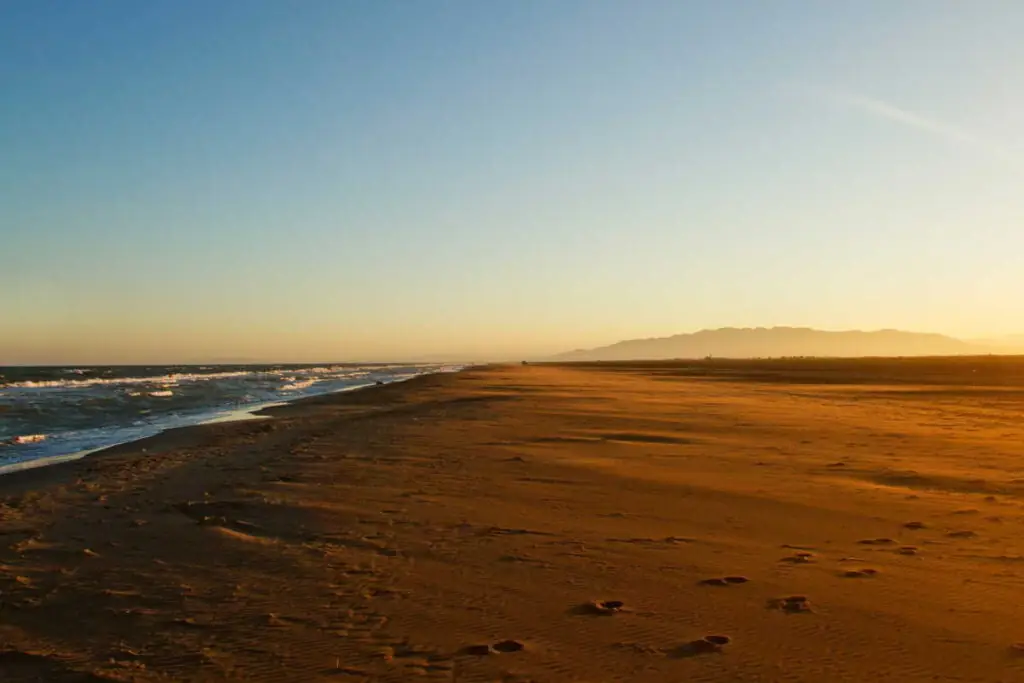 Playa de los Eucaliptos