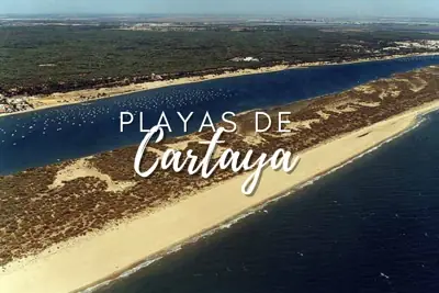 Playas de Cartaya