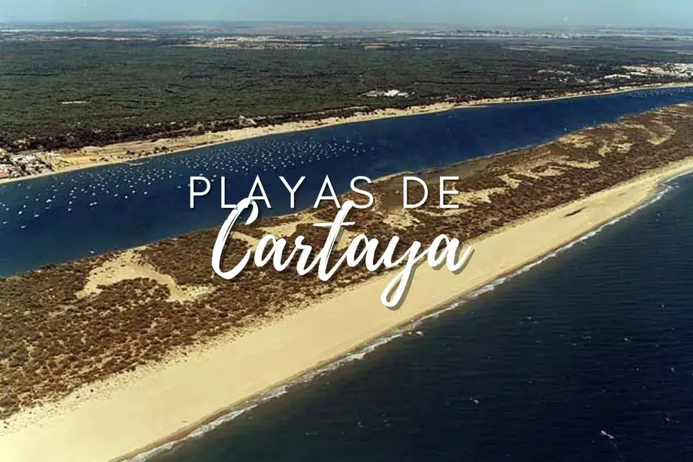 Playas de Cartaya