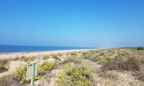 Playas de Punta Umbría