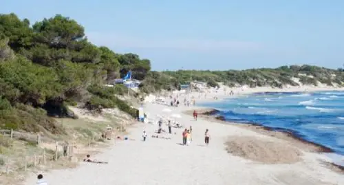Playa de las Salinas